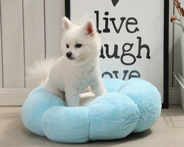 JiaDuo Cute Dog Bed for Small Medium Dogs Cats Flower Shaped Pet Bed Self Warming Soft Puppy Bed Winter Indoor Cat Bed