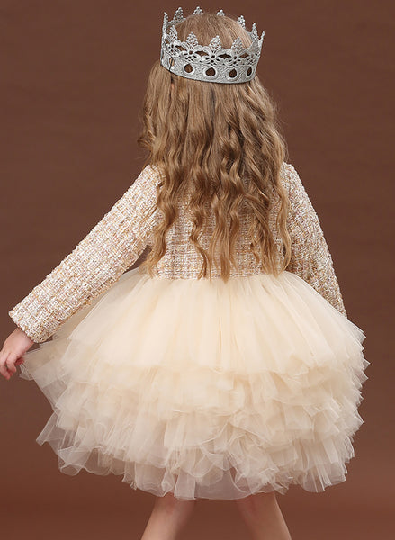 Baby Girls Spring & Autumn Long-sleeve Tutu Party Dress