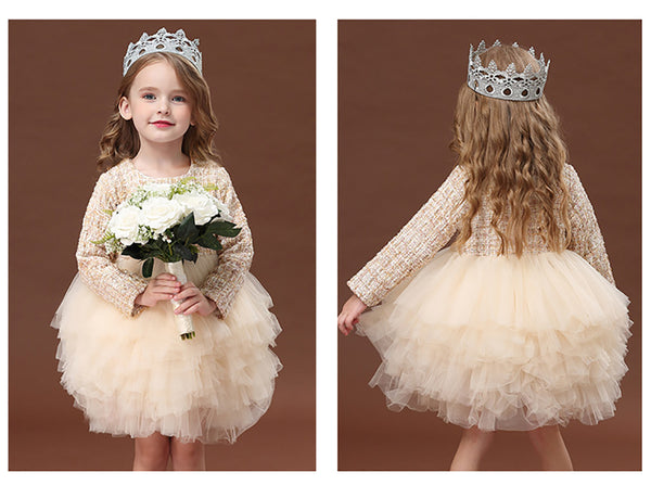 Baby Girls Spring & Autumn Long-sleeve Tutu Party Dress