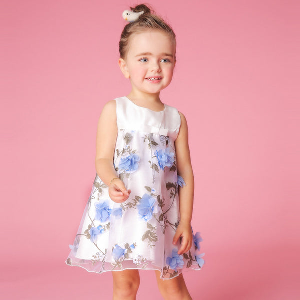 Toddler Girls Sleeveless Daily Dress