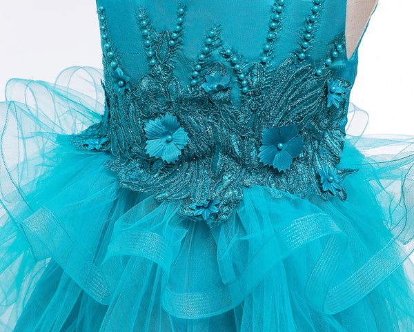 Girls Sleeveless Flower Embroidered Tutu Dress Pageant Flower Girl Dress